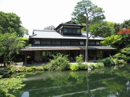 パッシフローラ Passi クラシカルホメオパシー京都 パッシフローラ Passi クラシカルホメオパシー京都